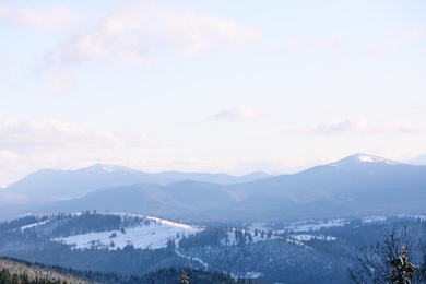 Photo of Beautiful mountain landscape with forest on sunny day in winter