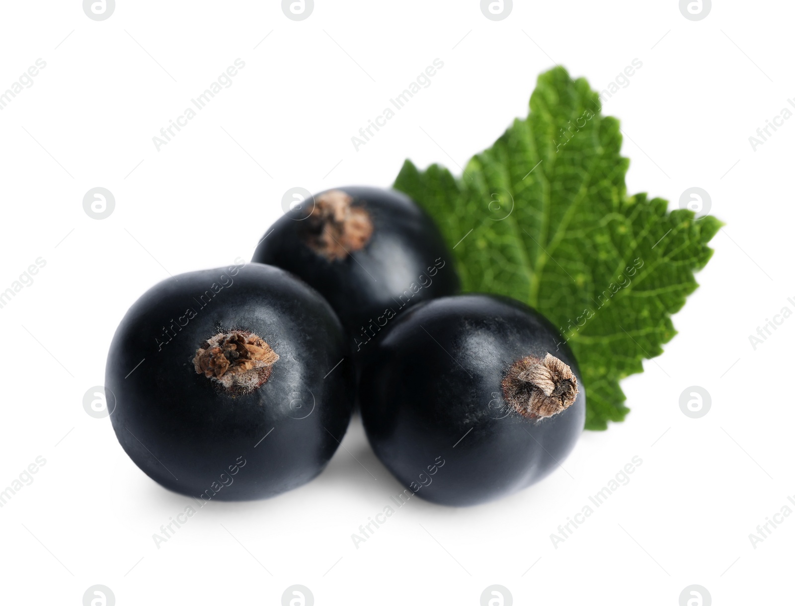 Photo of Ripe whole and cut blackcurrants with leaf isolated on white