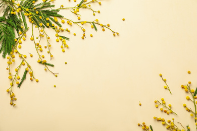 Flat lay composition with mimosa flowers on beige background, space for text. Spring holiday