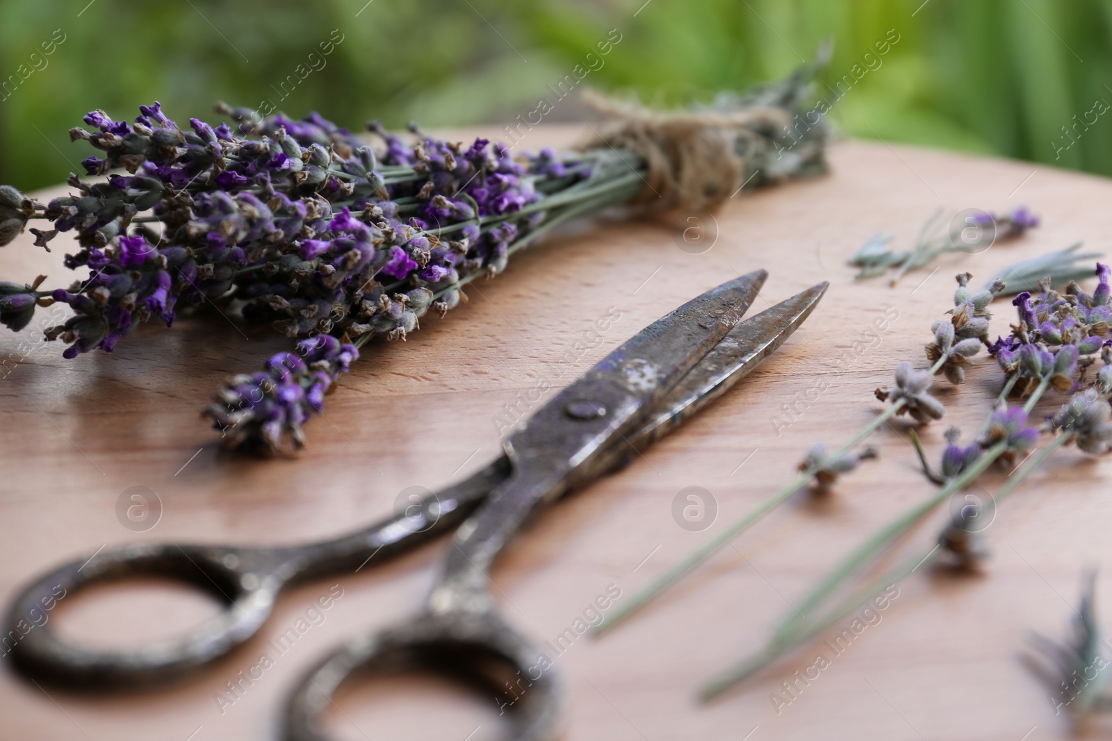 Photo of Beautiful lavender flowers and scissors on wooden table, closeup