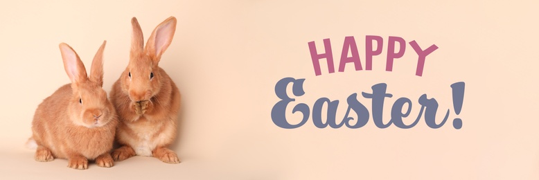 Image of Happy Easter! Cute bunnies on beige background, banner design