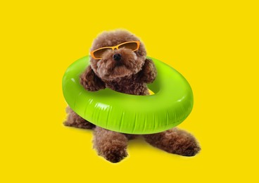 Image of Cute Maltipoo dog with stylish sunglasses and swim ring lying on yellow background