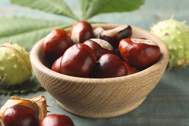 Photo of Horse chestnuts in bowl on blue wooden table, closeup
