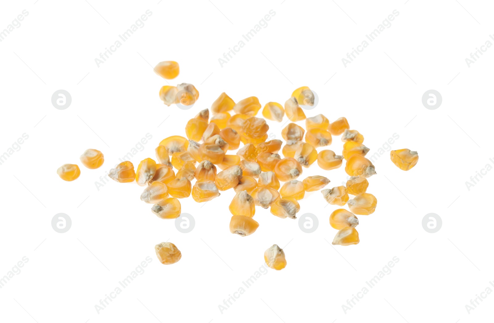 Photo of Pile of raw dry corn seeds on white background. Vegetable planting