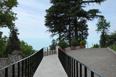 Photo of Picturesque view park with paved walkway and beautiful plants