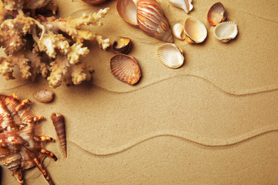 Photo of Different beautiful sea shells on sand, flat lay. Space for text