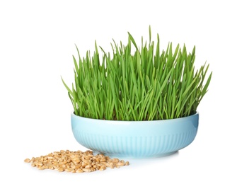 Bowl with fresh wheat grass and seeds isolated on white