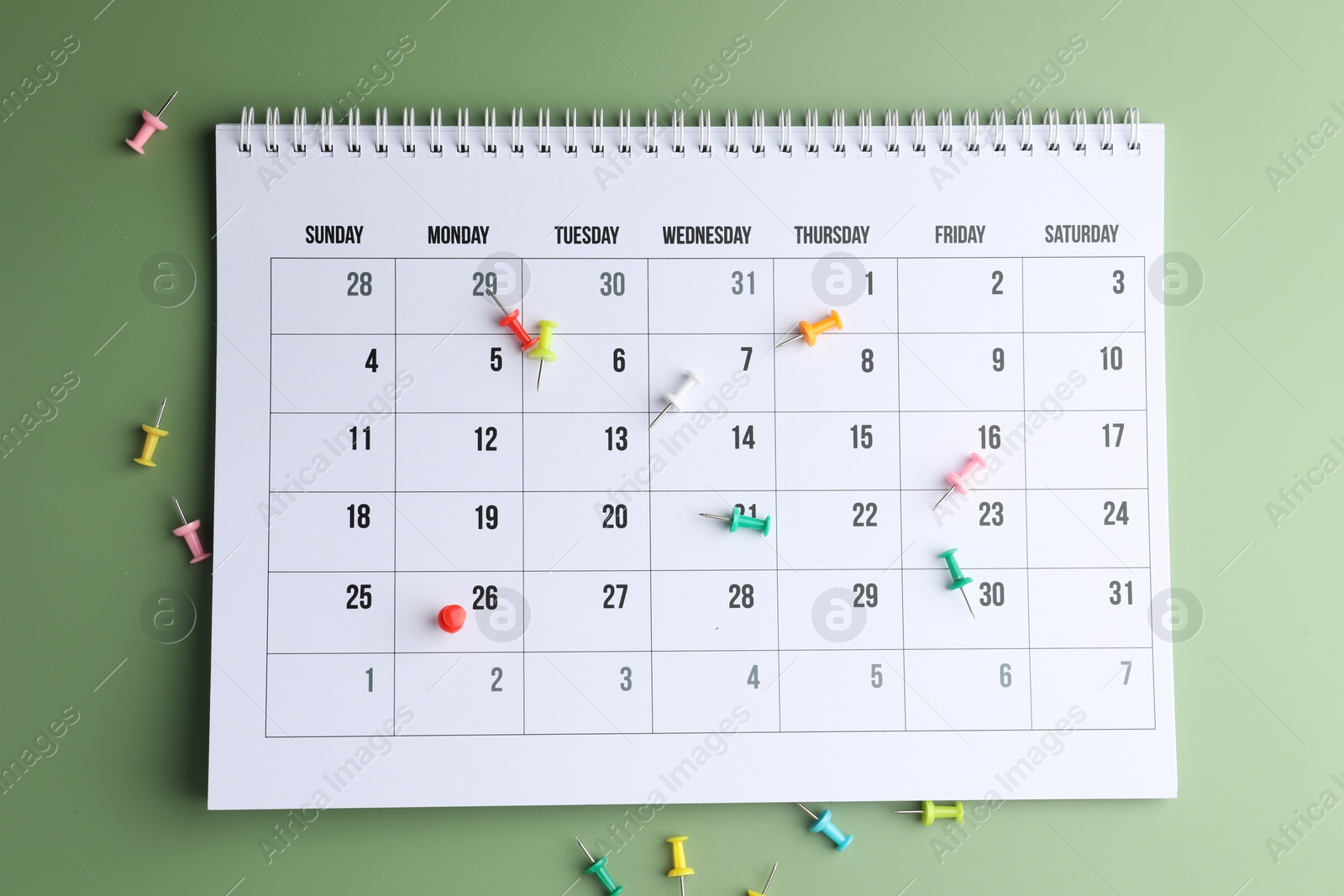 Photo of Timetable. Calendar and drawing pins on green background, top view