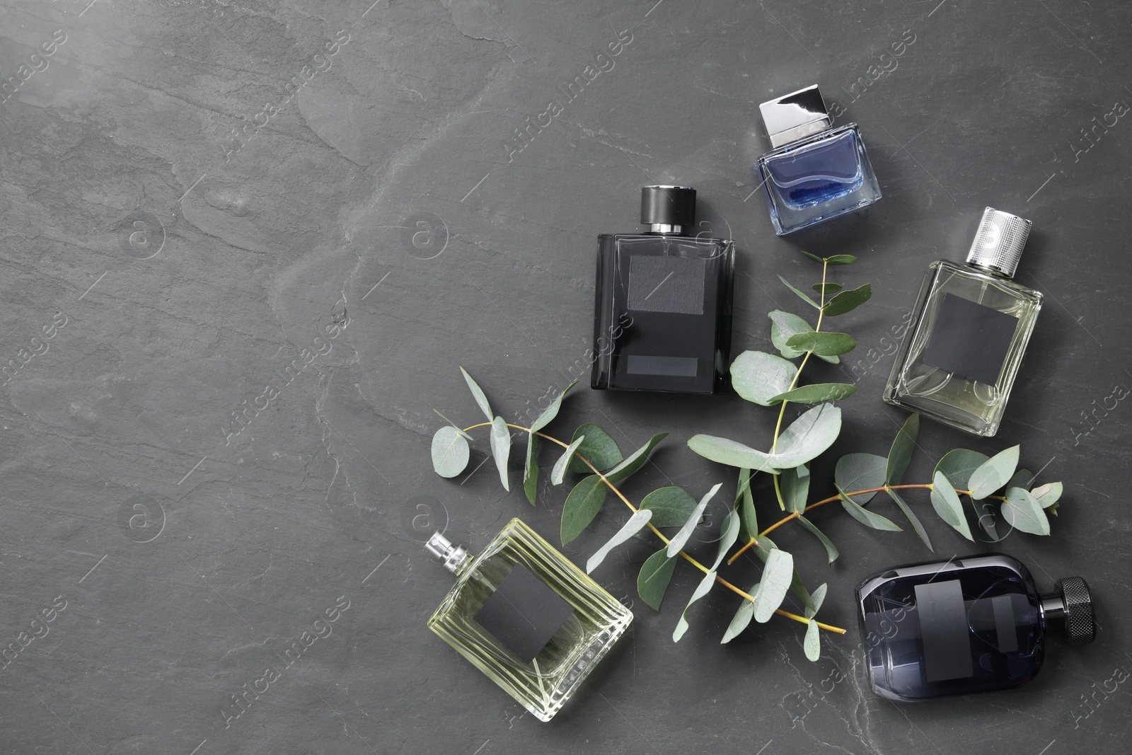 Photo of Floral fragrance. Luxury perfumes and eucalyptus branches on black table, flat lay. Space for text