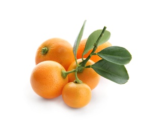 Branch of ripe tangerines isolated on white. Tasty citrus fruit