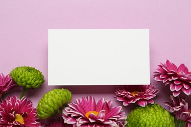 Beautiful chrysanthemum flowers and blank card on pale pink background, flat lay. Space for text