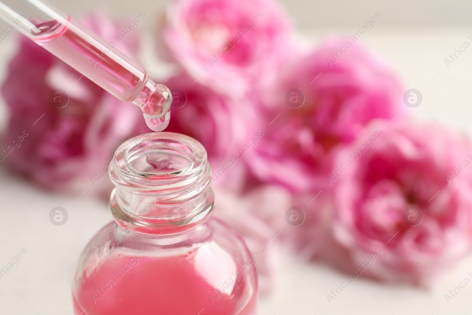 Photo of Dripping rose essential oil into bottle against blurred flowers on table, space for text