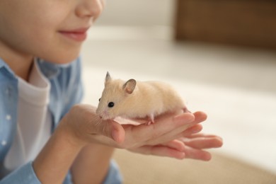 Photo of Little girl holding cute hamster at home, closeup