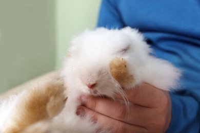 Photo of Man with fluffy white rabbit, closeup. Cute pet