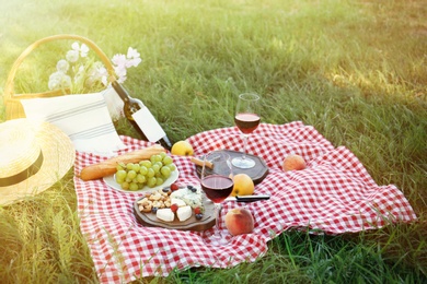 Picnic blanket with delicious food and wine on green grass in park