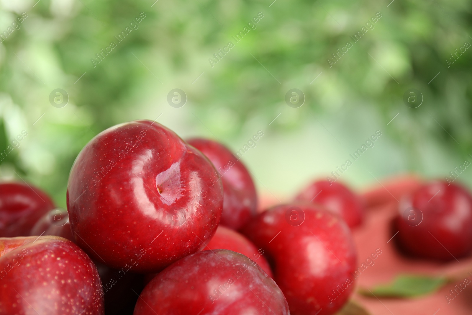 Photo of Delicious ripe plums on blurred background, closeup. Space for text