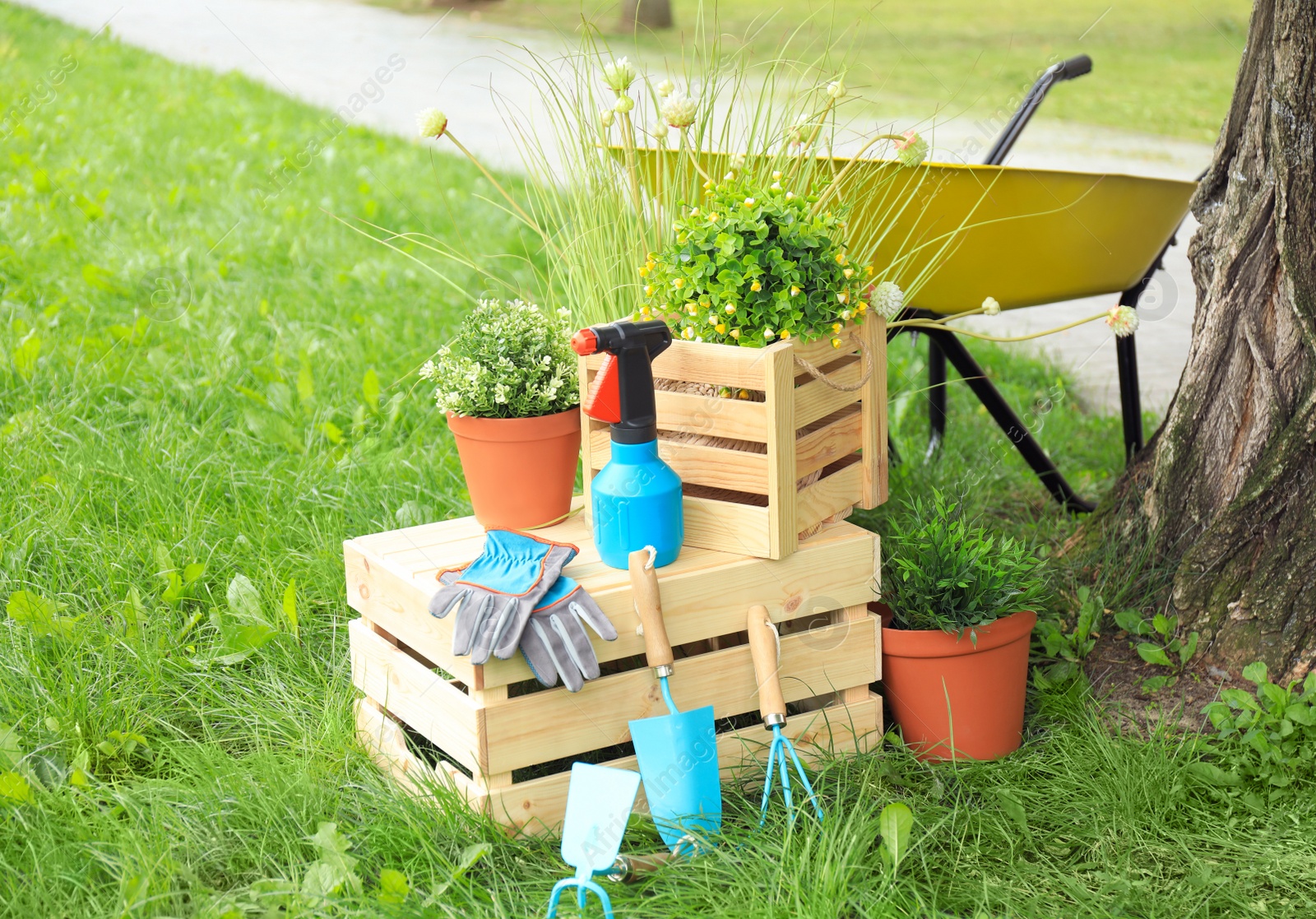 Photo of Composition with gardening tools on green grass