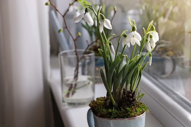 Photo of Blooming snowdrops on window sill indoors. First spring flowers
