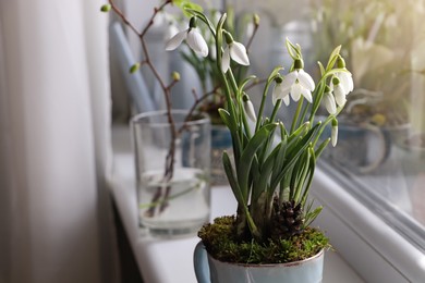 Blooming snowdrops on window sill indoors. First spring flowers