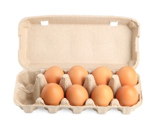 Chicken eggs in carton isolated on white