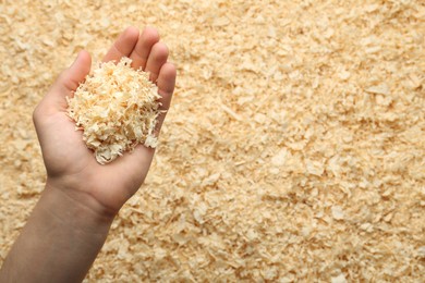 Photo of Woman holding dry natural sawdust, top view