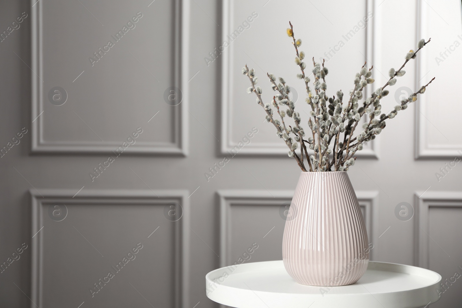 Photo of Beautiful pussy willow branches in vase on white table indoors, space for text