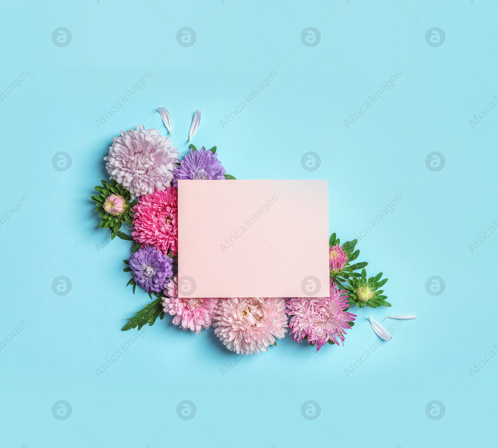 Photo of Beautiful aster flowers with sheet of paper on color background, top view. Space for text