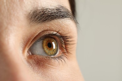 Macro photo of woman with beautiful eyes on light grey background. Space for text