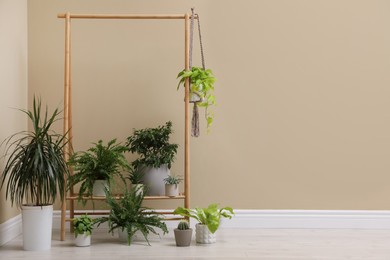 Many different houseplants near beige wall in room. Space for text