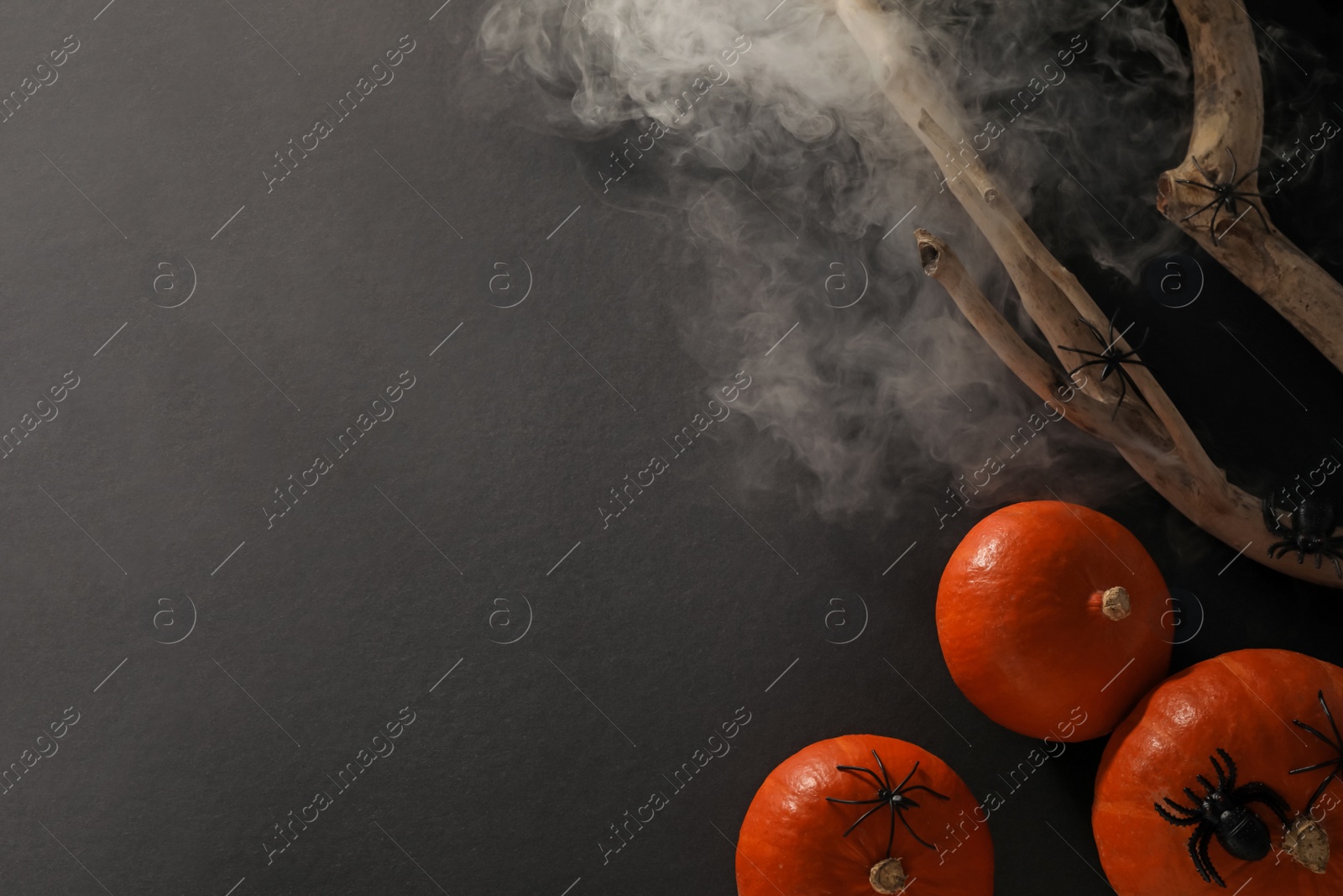 Photo of Halloween composition with pumpkins, decorative spiders and wooden branch on black background, flat lay. Space for text