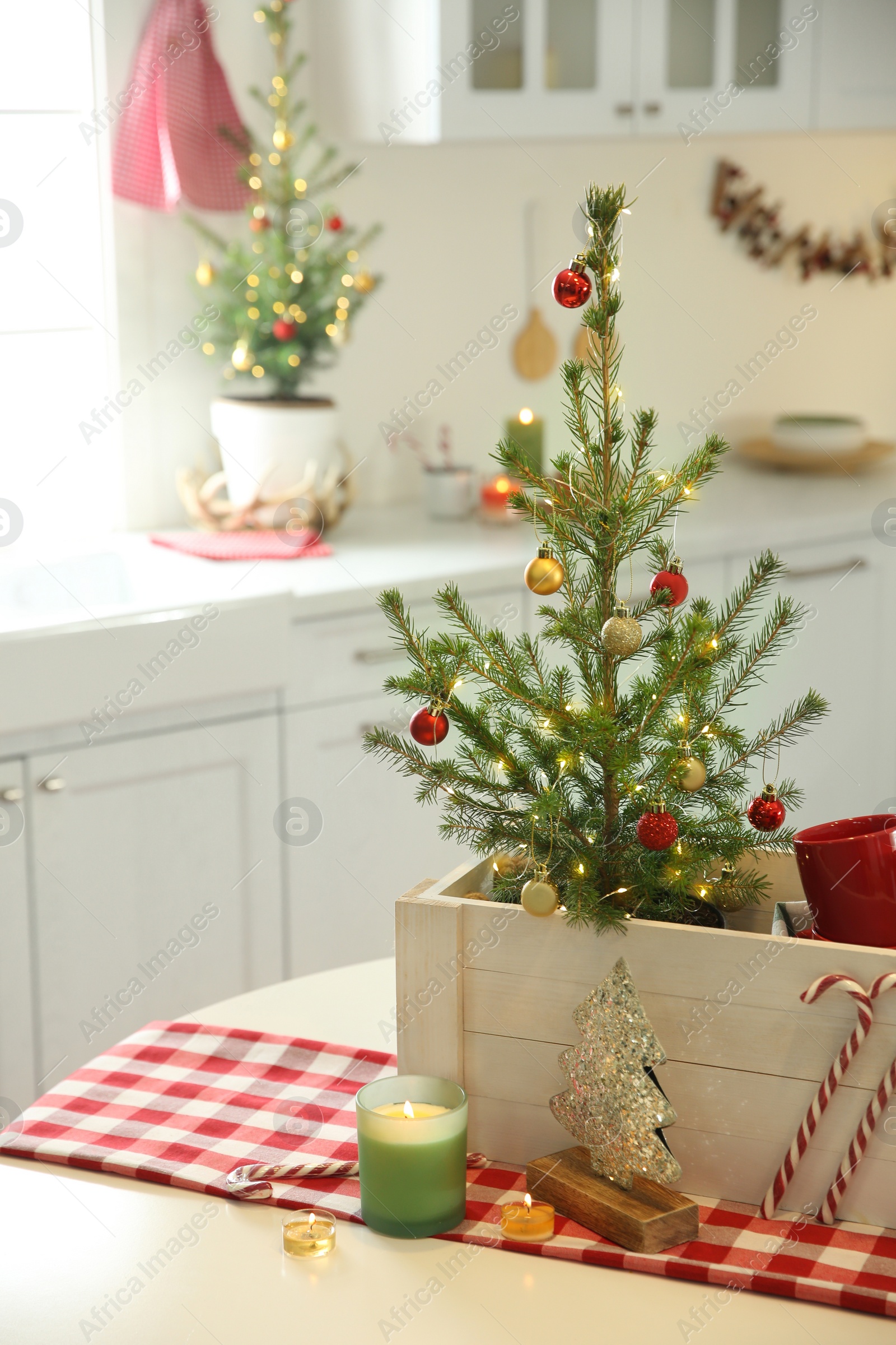 Photo of Small Christmas trees and festive decor in kitchen