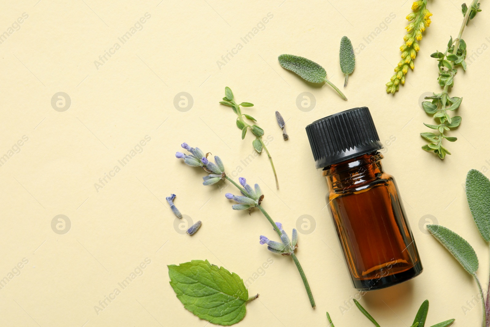 Photo of Bottle of essential oil and different herbs on beige background, flat lay. Space for text