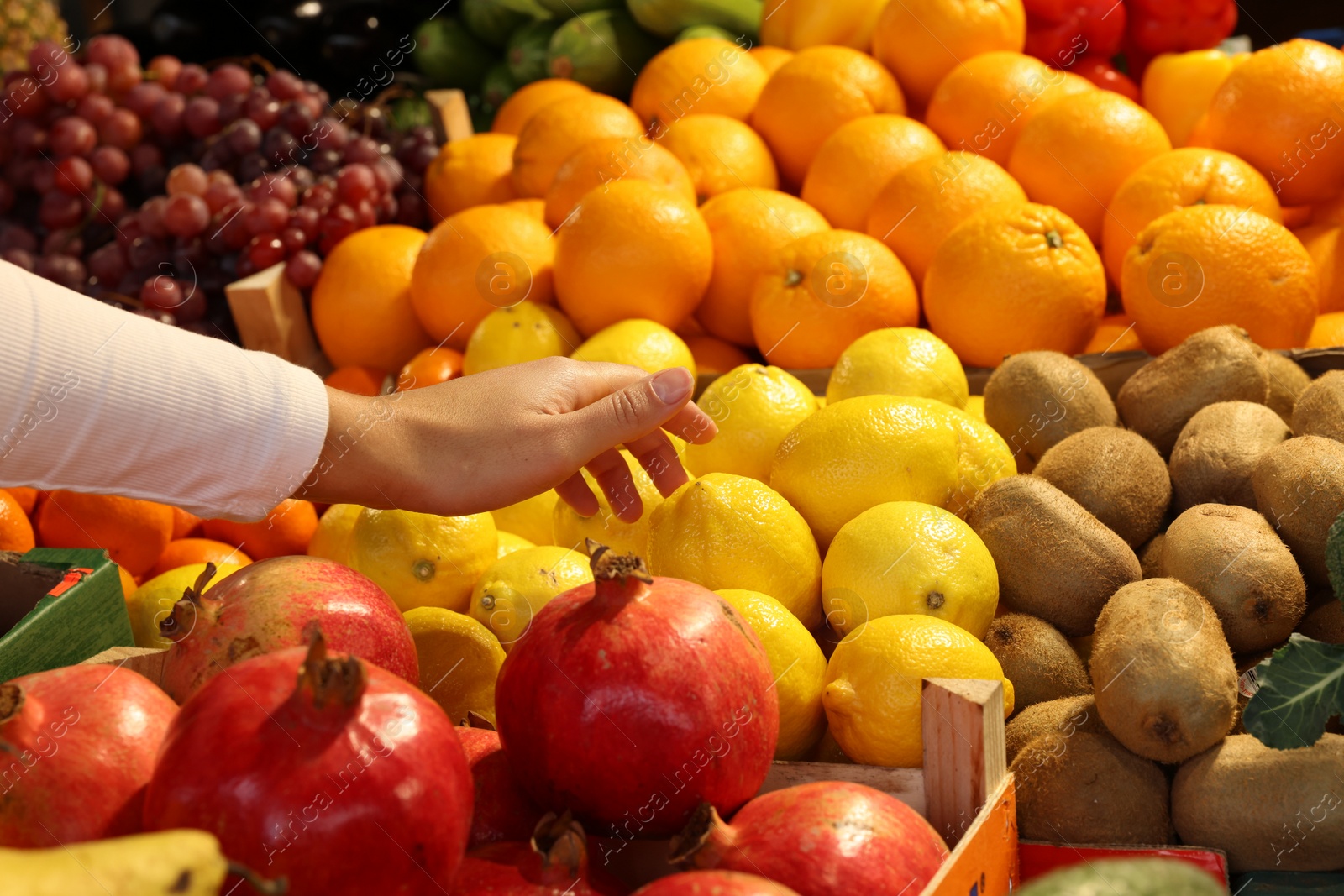 Photo of Woman picking fresh lemon at market, closeup