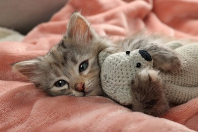 Photo of Cute kitten with toy on soft pink blanket