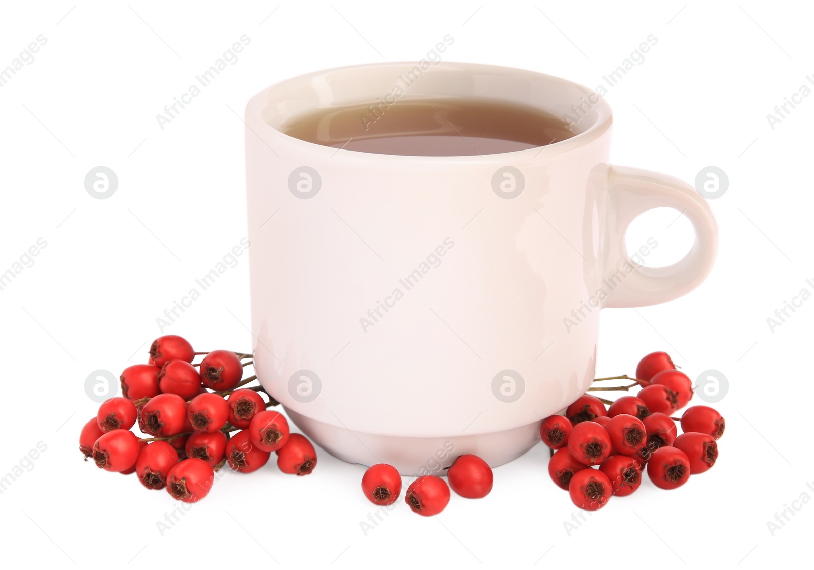 Photo of Aromatic hawthorn tea in cup and berries isolated on white