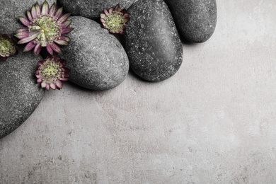 Photo of Spa stones and astrantia flowers on grey table, flat lay. Space for text