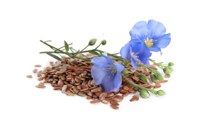 Flax flowers and seeds on white background