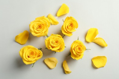 Beautiful yellow roses on light grey background, flat lay