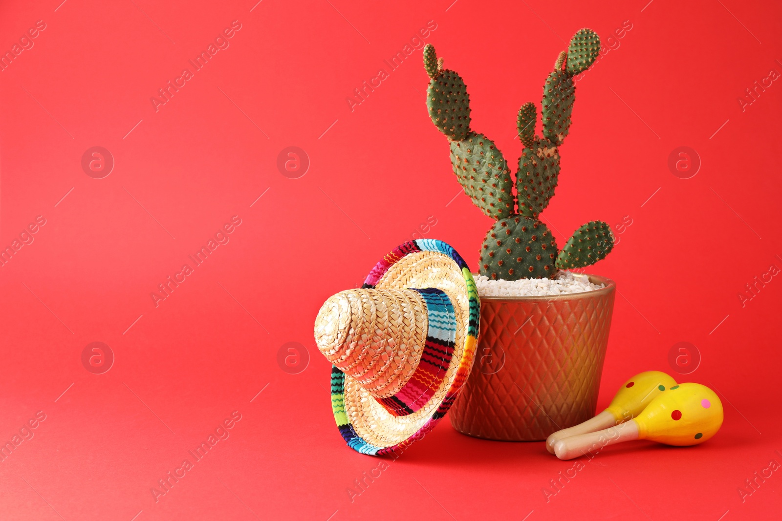 Photo of Mexican sombrero hat, cactus and maracas on red background. Space for text