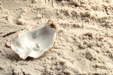 Photo of Half of oyster with white pearl on sand, space for text