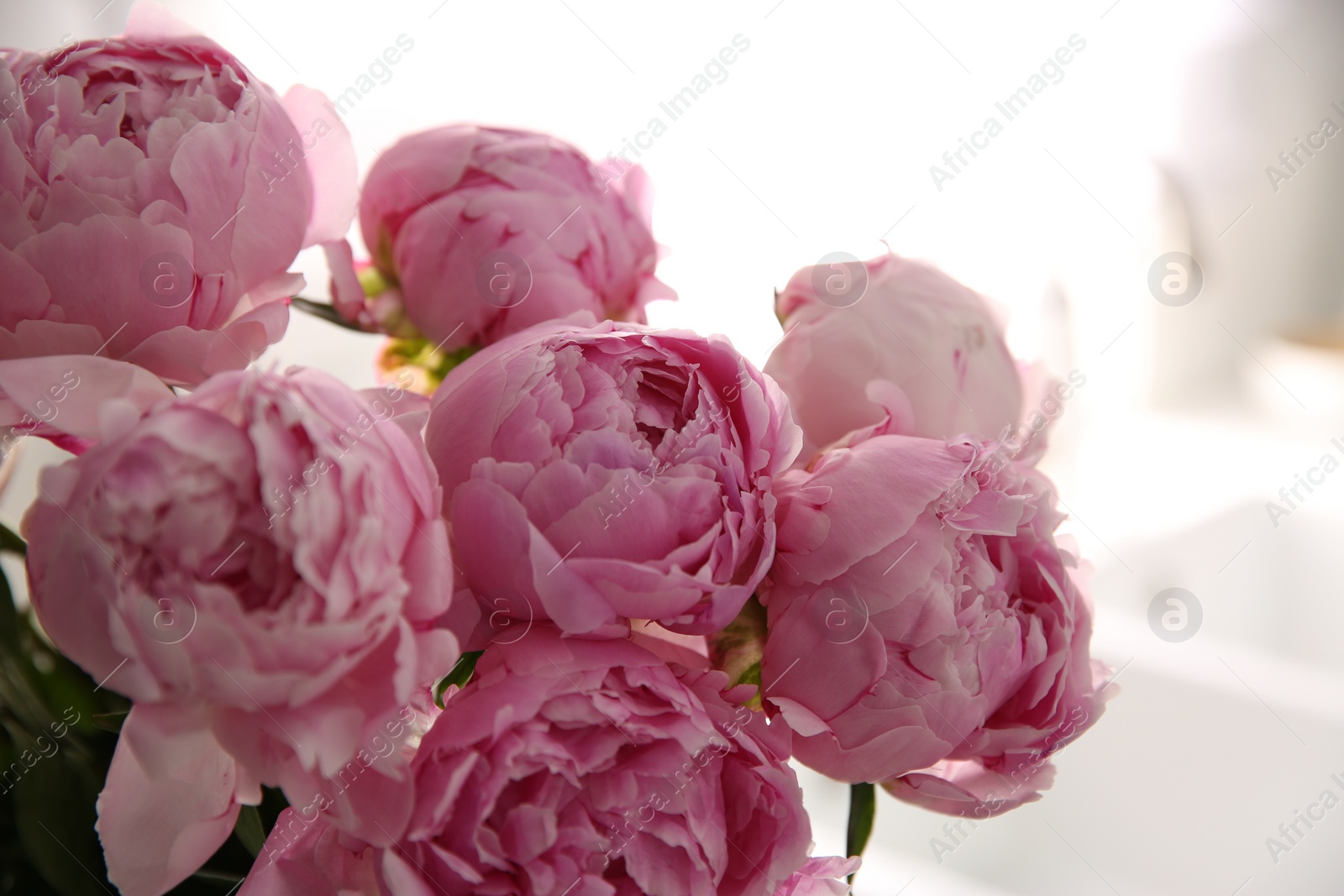 Photo of Bouquet of beautiful fresh pink peonies indoors, closeup