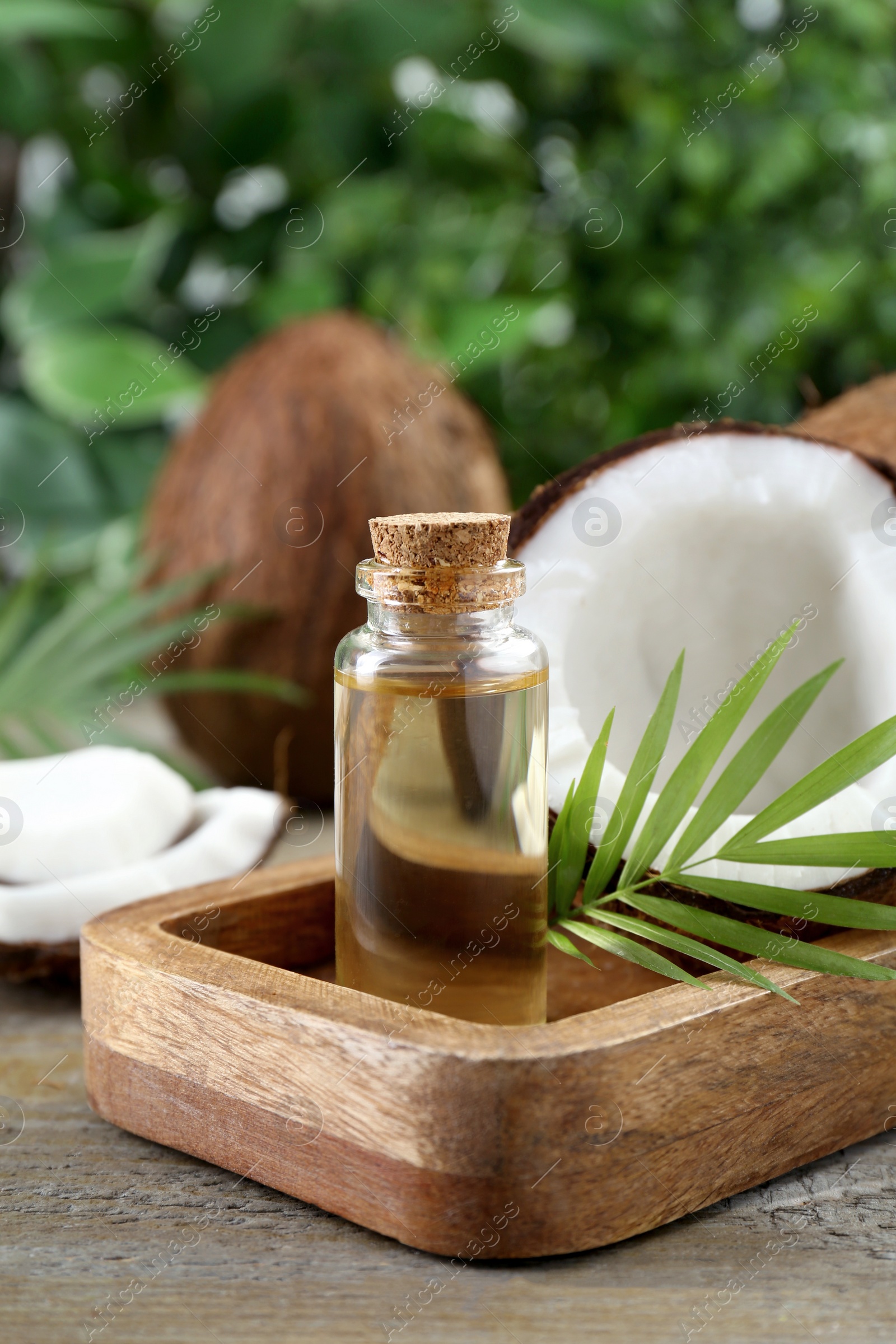 Photo of Bottle of organic coconut cooking oil, fresh fruits and leaf on wooden table