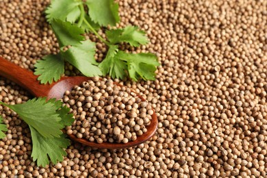 Dried coriander seeds, wooden spoon and green leaves, closeup. Space for text