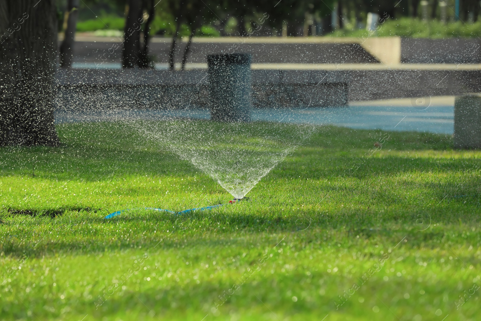 Photo of Automatic sprinkler watering green grass in park. Irrigation system