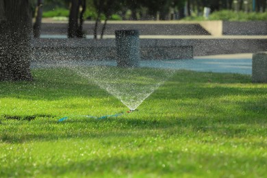 Automatic sprinkler watering green grass in park. Irrigation system