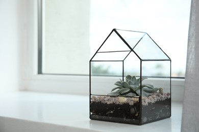 Photo of Glass florarium vase with succulent on white windowsill indoors, space for text