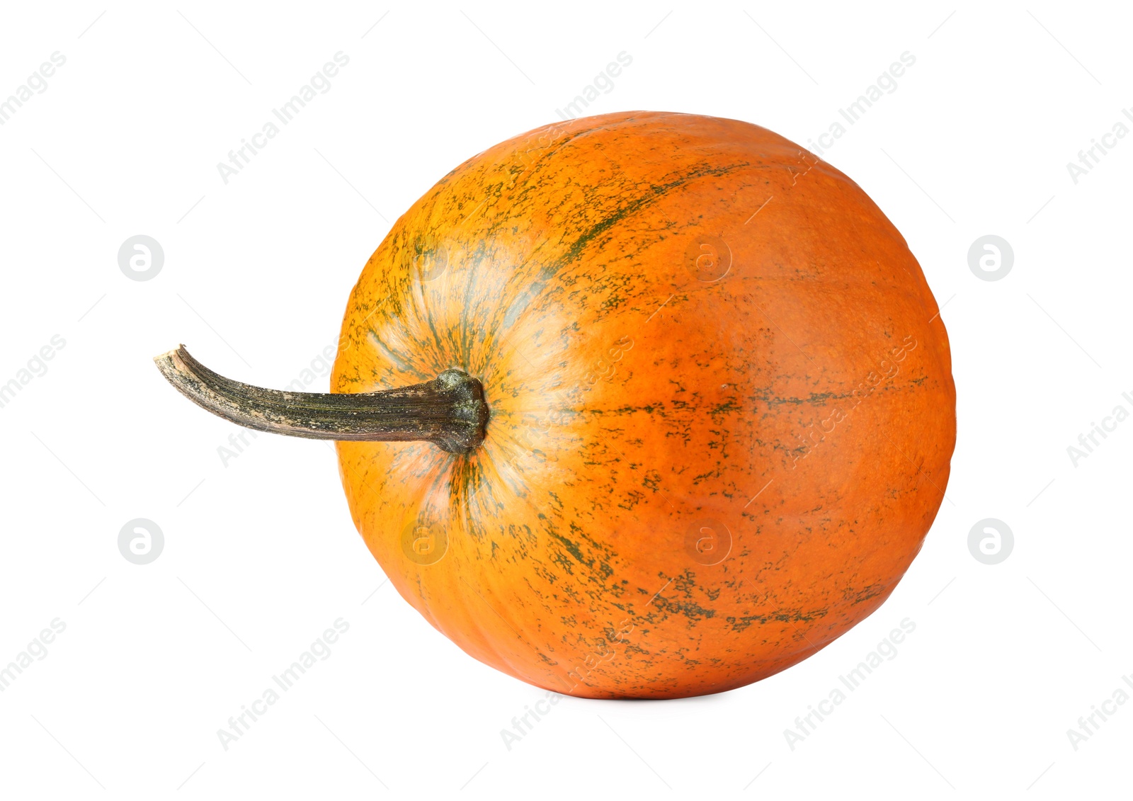 Photo of One fresh orange pumpkin isolated on white