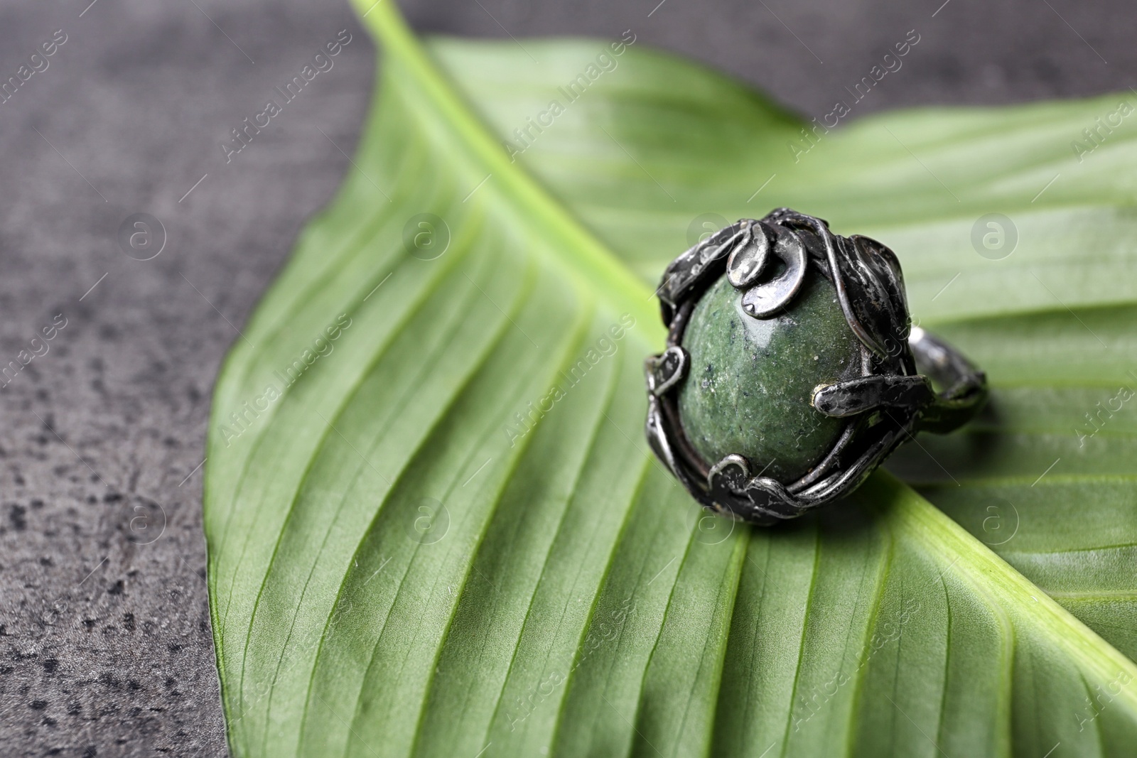 Photo of Beautiful silver ring with opal gemstone on green leaf. Space for text