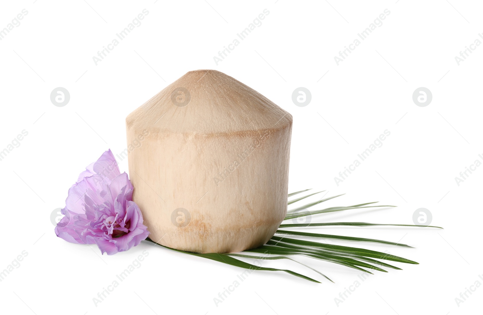 Photo of Young peeled coconut with palm leaf and beautiful flower isolated on white
