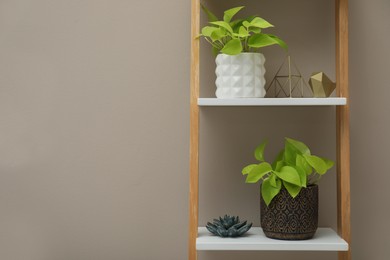 Photo of Beautiful houseplants on shelving unit near beige wall. Space for text